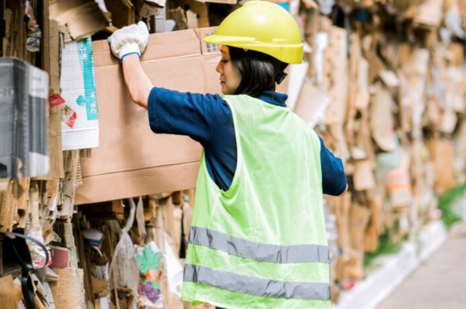 Reciclaje de cartón corrugado: cómo contribuir al cuidado del medio ambiente